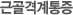 근골격계통증
