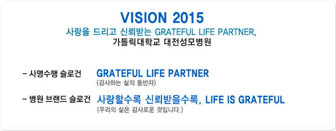VISION 2015