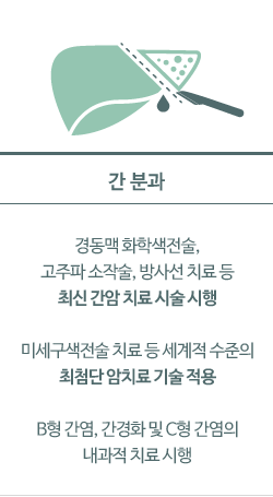 간분과: 경동맥 화학색전술, 고주파 소작술, 방사선 치료 등 최신 간암 치료 시술 시행  미세구색전술 치료 등 세계적 수준의 최첨단 암치료 기술 적용  B형 간염, 간경화 및 C형 간염의 내과적 치료 시행