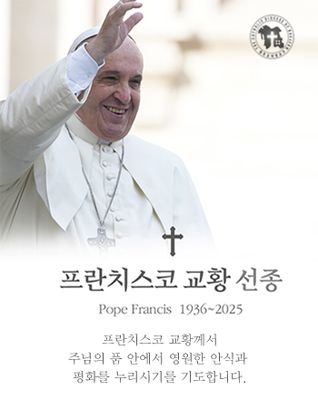 프란치스코 교황 선종: 프롼치스코 교황께서 주님의 품 안에서 영원한 안식과 평화를 누리시기를 기도합니다.
